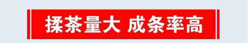 大观区集贤时空文创园一隅。人民网记者 高飞跃摄